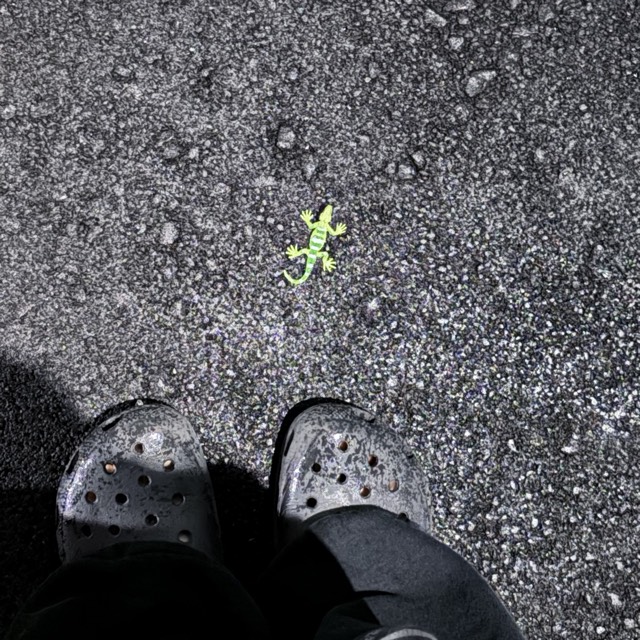 落ちてたzine 3ページ目の写真