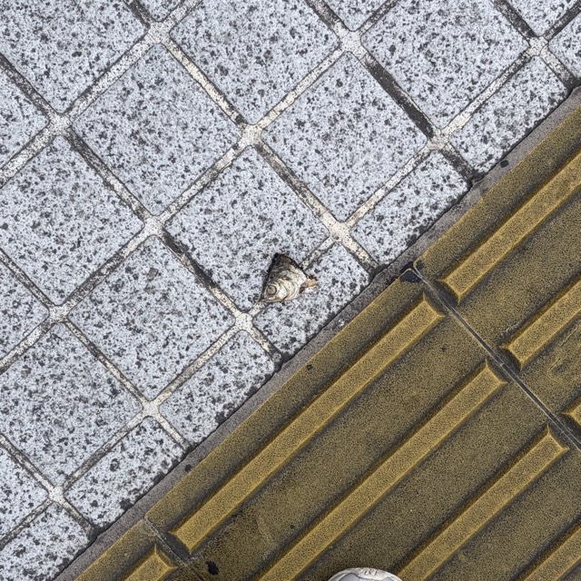 落ちてたzine 4ページ目の写真