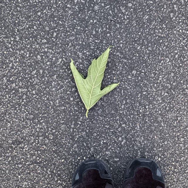 落ちてたzine 5ページ目の写真