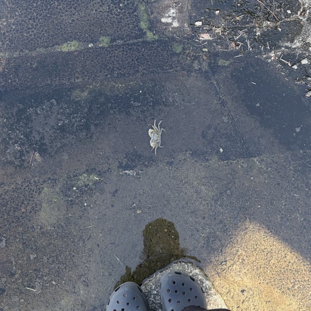 落ちてたzine 6ページ目の写真