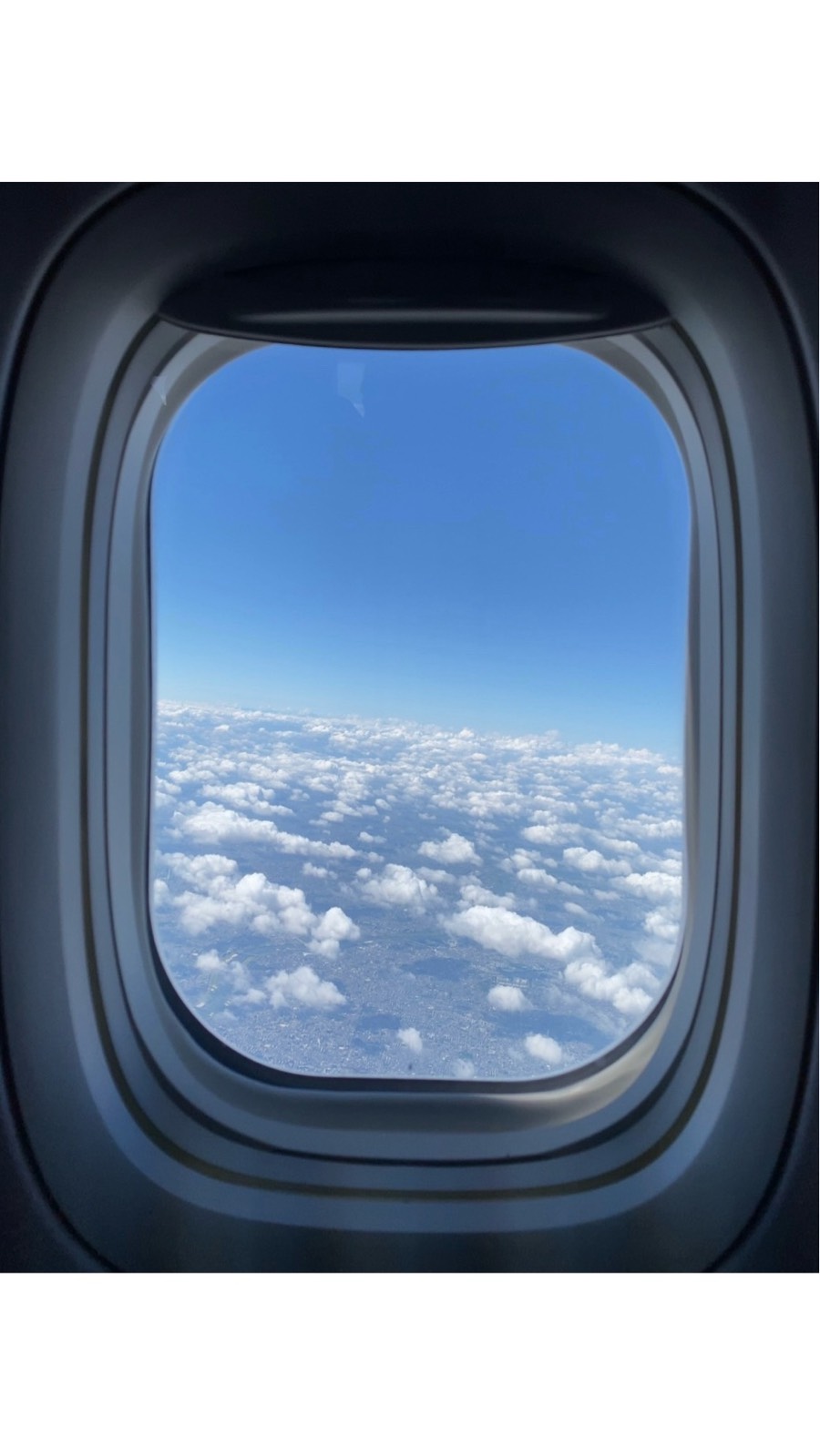 windows of _ 1ページ目の写真：the airplane