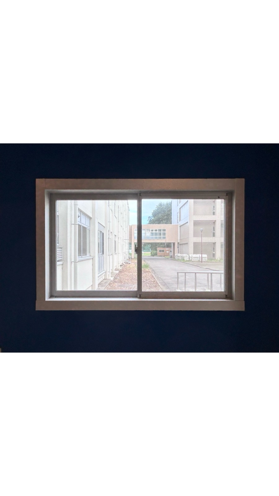 windows of _ 2ページ目の写真：the school