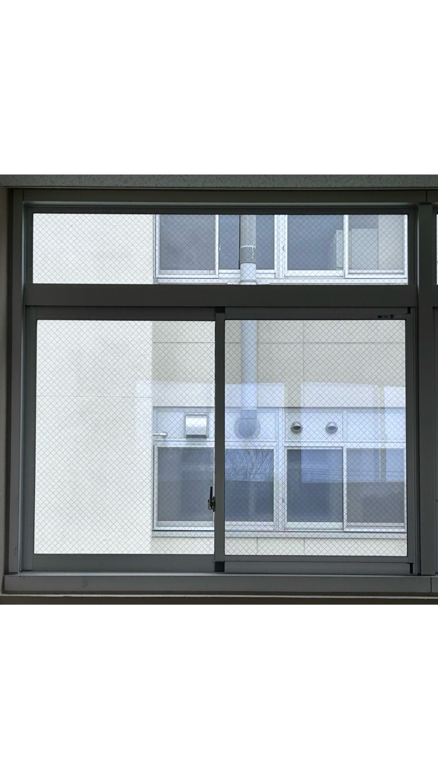 windows of _ 5ページ目の写真：the school 3