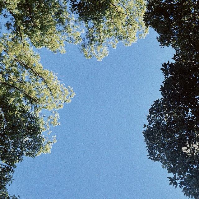 わたしのさんぽ 4ページ目の写真