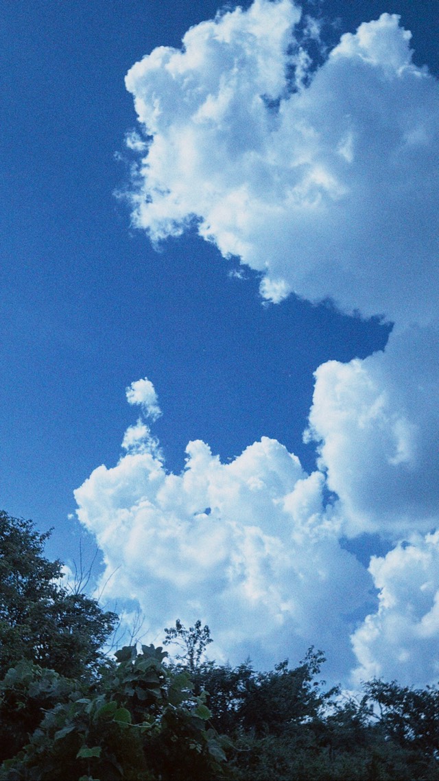 ついつい 1ページ目の写真