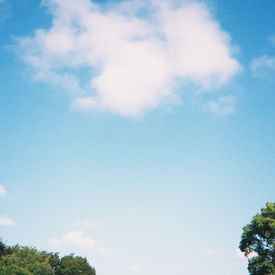 夏の忘れもの 4ページ目の写真