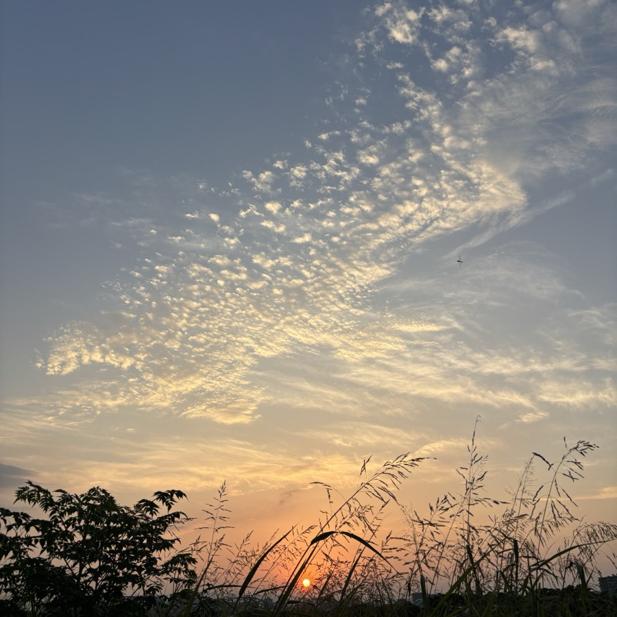 わたしの好きな空 2ページ目の写真:河川敷の空