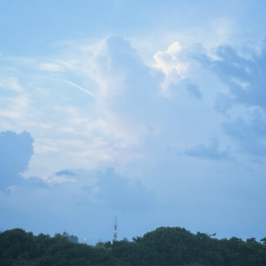 わたしの好きな空 10ページ目の写真:青から白へ